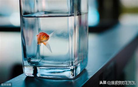 鬥魚擋煞|風水｜家裏養的魚死了，怎麼辦